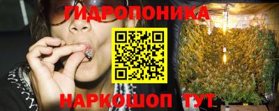 ALPHA PVP Будённовск