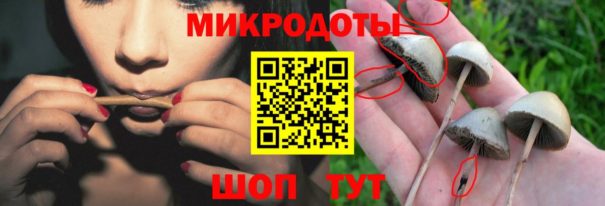Псилоцибиновые грибы Magic Shrooms  Псилоцибиновые грибы мухоморы  Вход с VPN  купить  цена  Миасс 